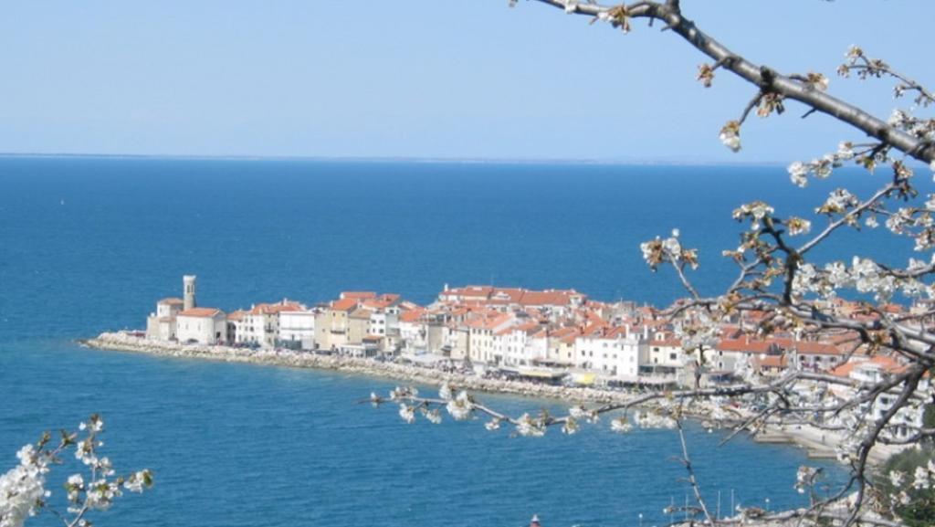 Apartment Hisa 7 Piran Chambre photo